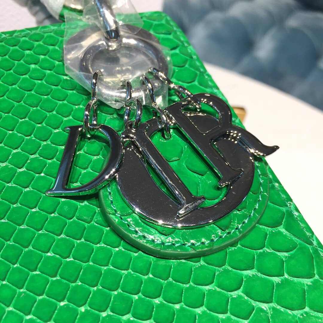Christian Dior Lady Dior 17CM Replica Bag