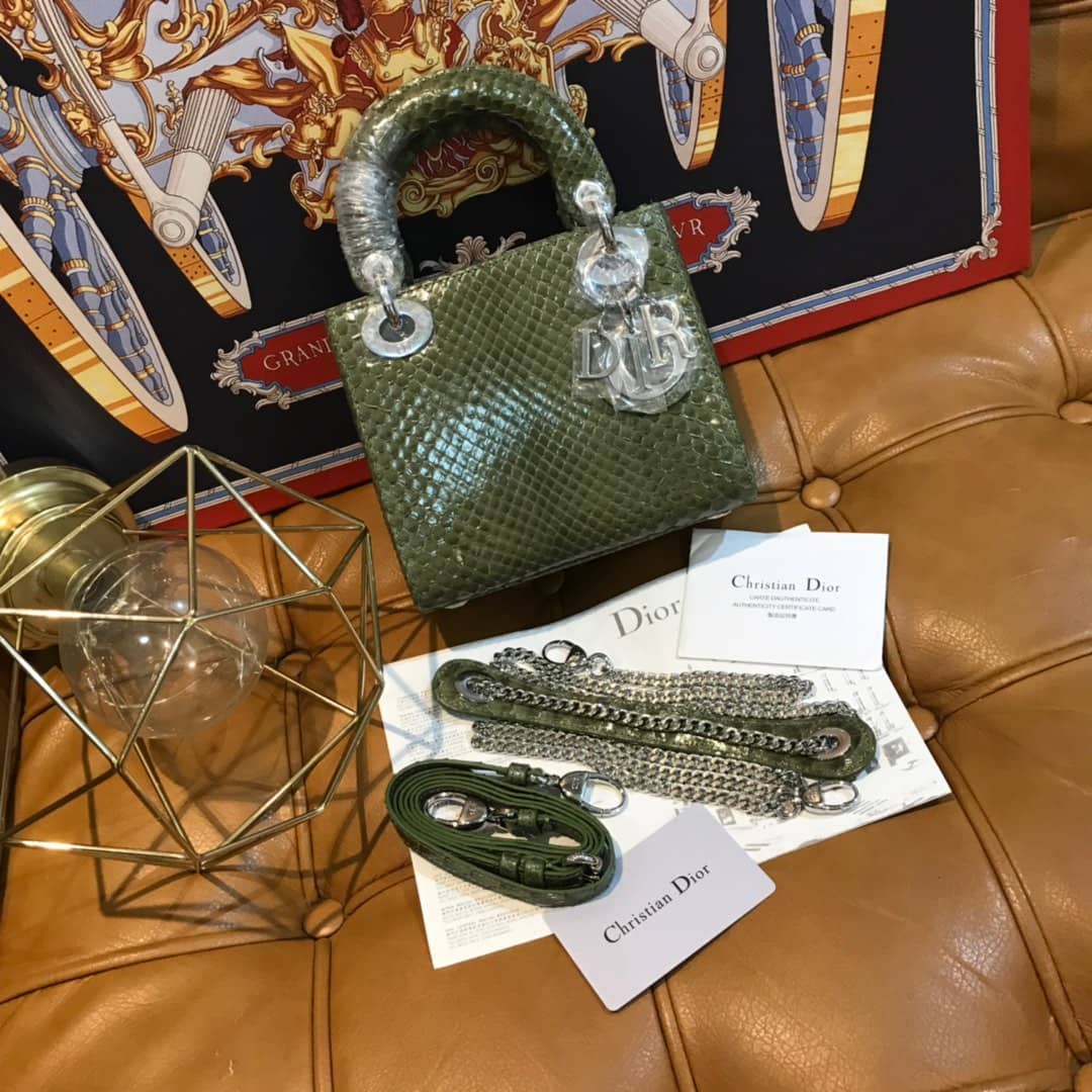 Christian Dior Lady Dior 17CM Replica Bag