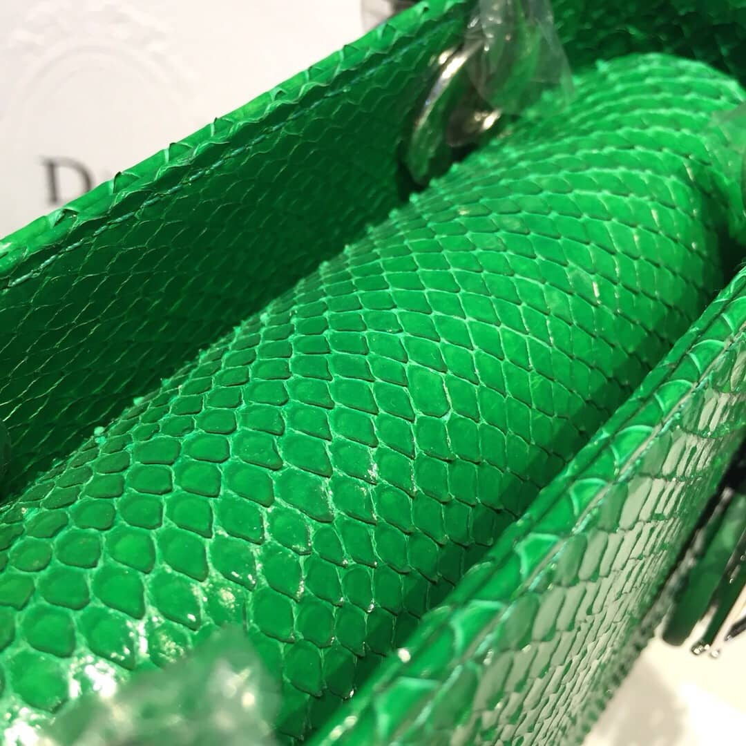 Christian Dior Lady Dior 17CM Replica Bag