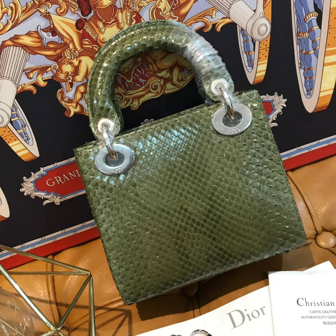 Christian Dior Lady Dior 17CM Replica Bag