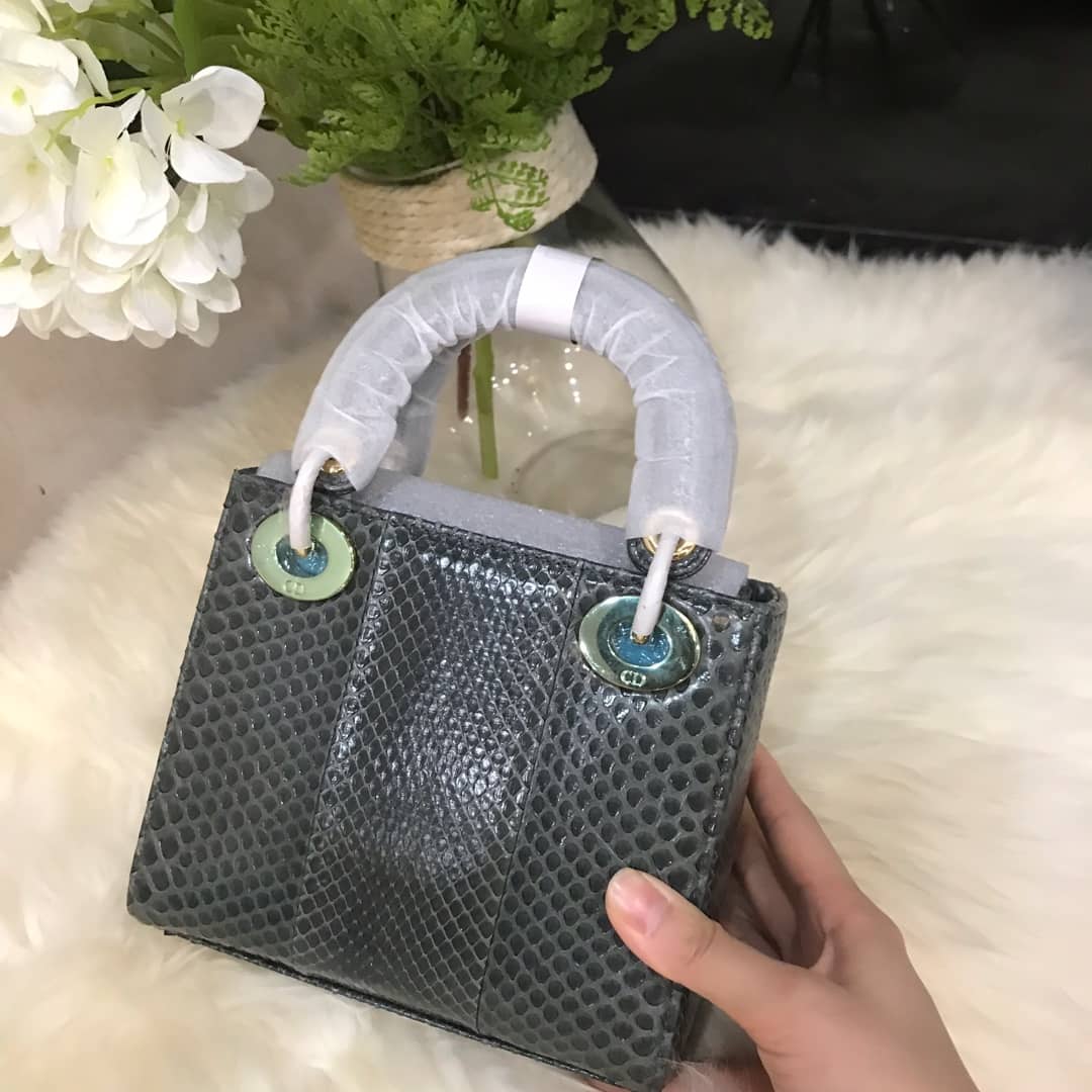 Christian Dior Lady Dior 17CM Replica Bag