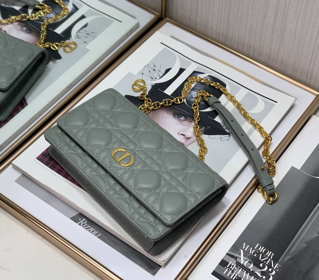 Christian Dior Caro Chain Belt Replica Pouch