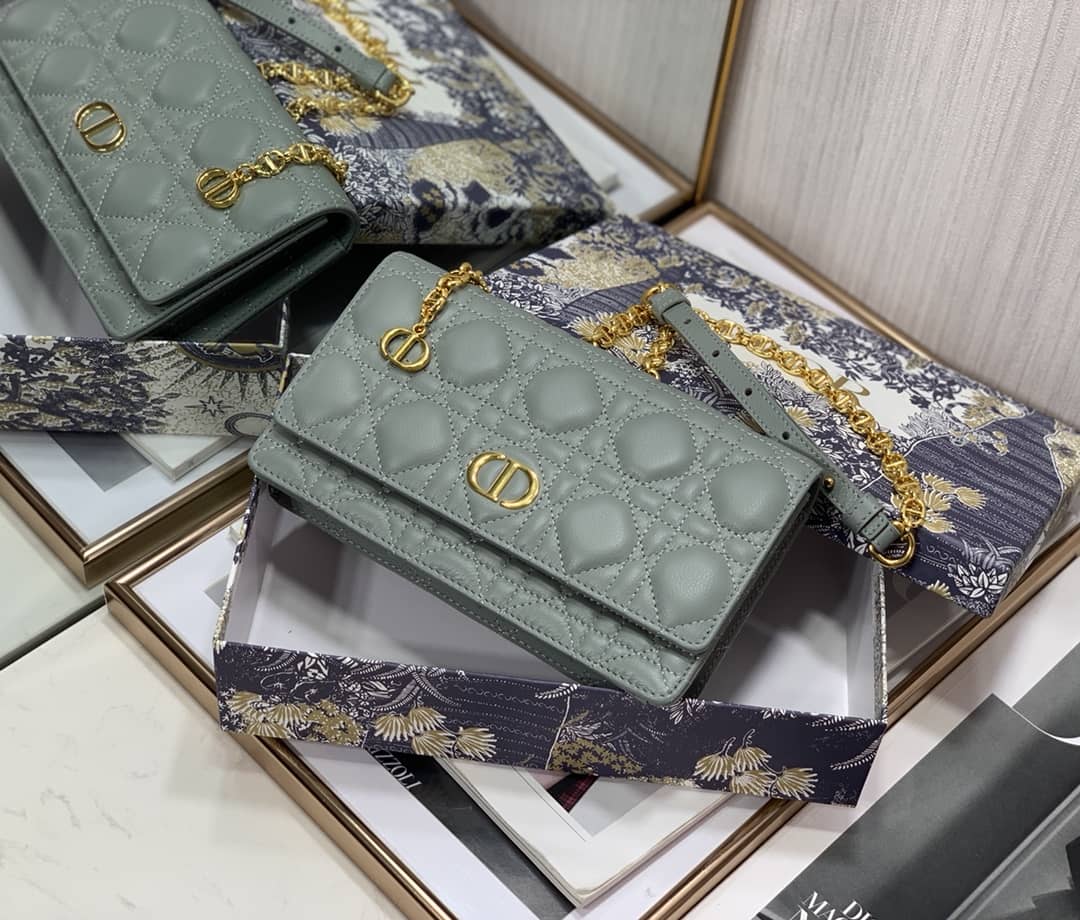 Christian Dior Caro Chain Belt Replica Pouch