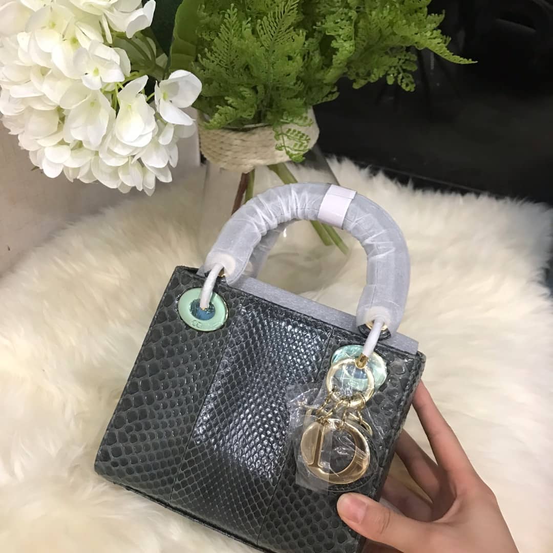 Christian Dior Lady Dior 17CM Replica Bag