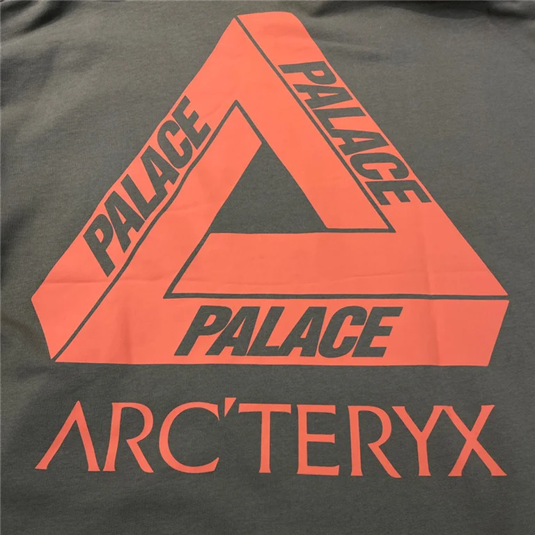 Arcteryx  Down Hoodie