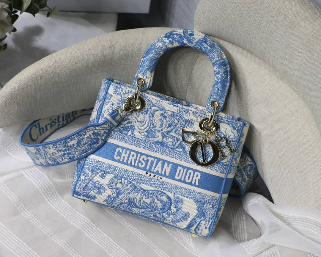 Lady Dior Dupe 24CM Paisley Embroidery Lady D-Lite Bag