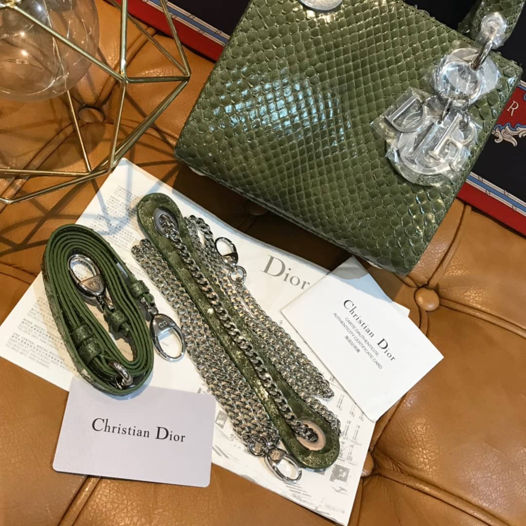Christian Dior Lady Dior 17CM Replica Bag