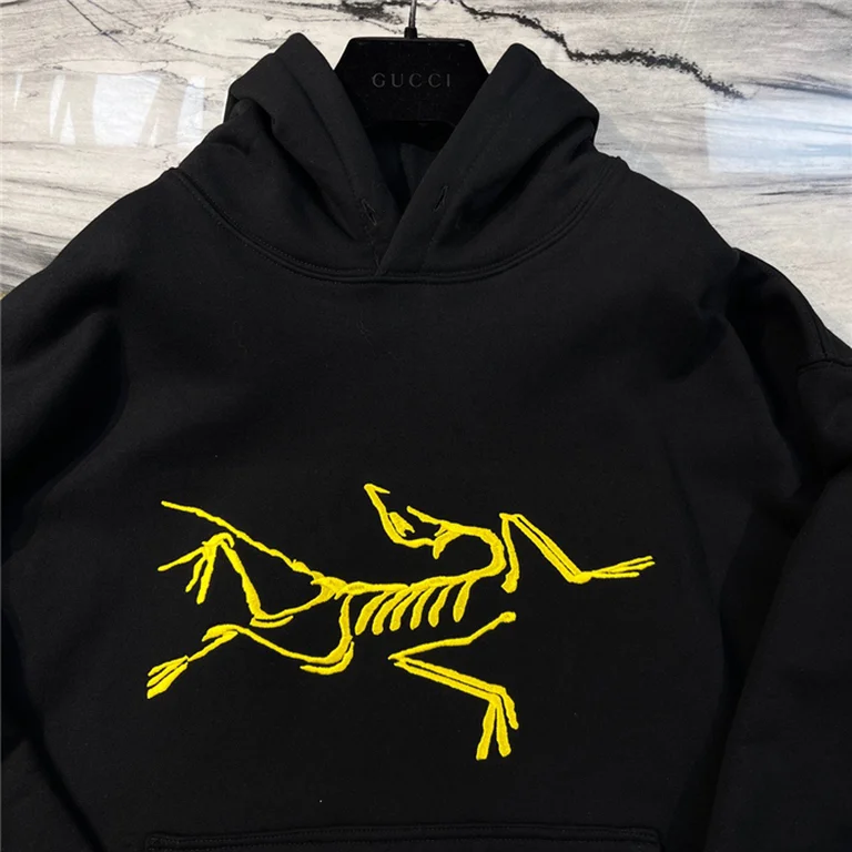 Arcteryx  Down Hoodie