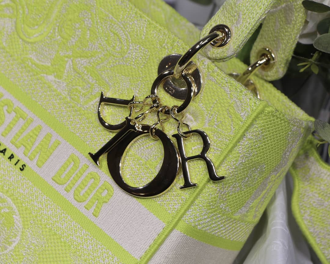 Lady Dior Dupe 24CM Paisley Embroidery Lady D-Lite Bag