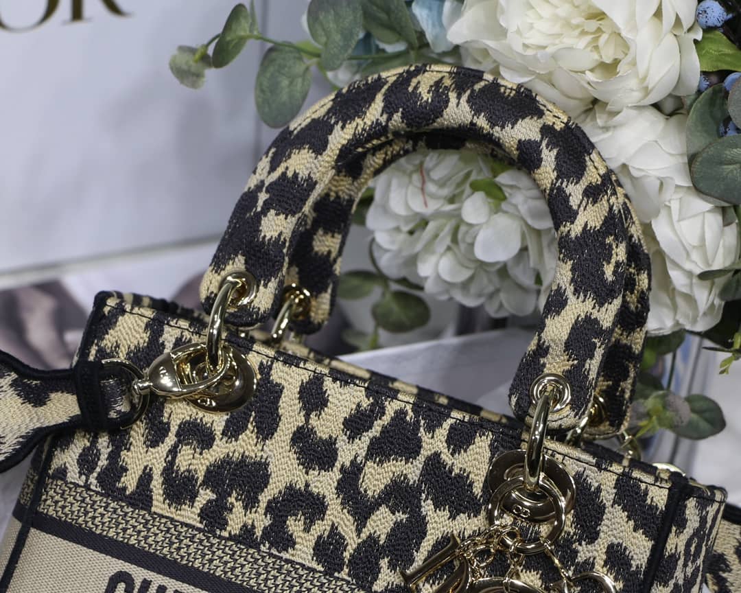 Dior Dupe Bag 24CM Paisley Embroidery Lady D-Lite