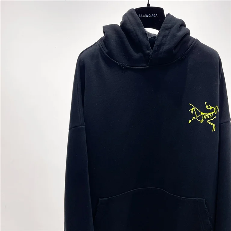 Arcteryx  Down Hoodie