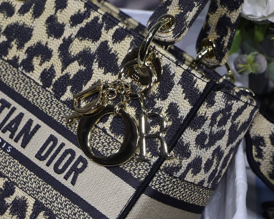 Dior Dupe Bag 24CM Paisley Embroidery Lady D-Lite