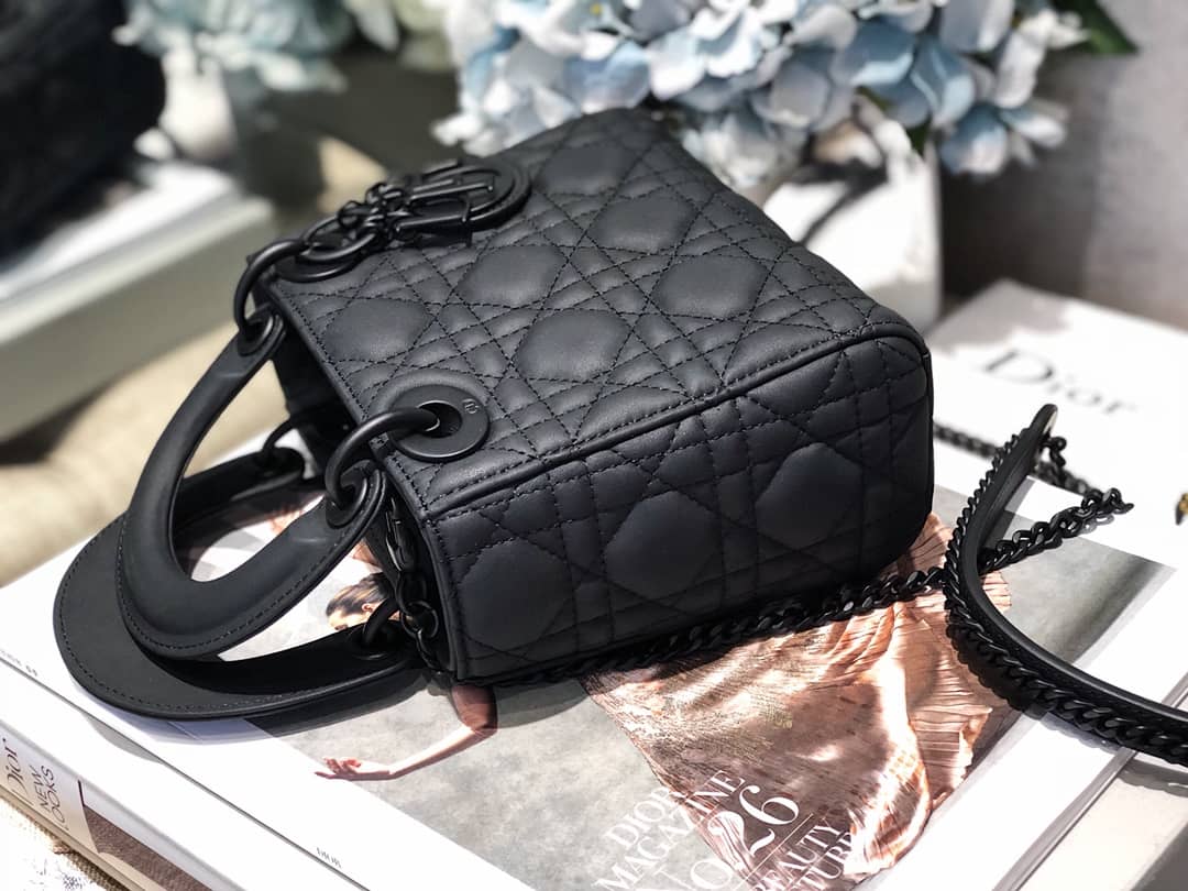 Christian Dior Lady Dior 17CM Replica Bag