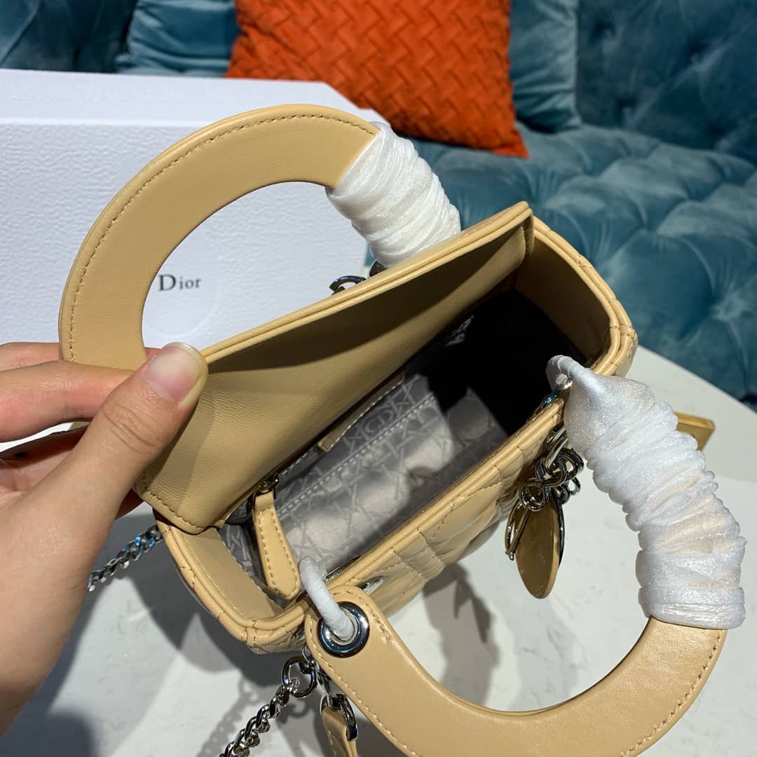 Christian Dior Lady Dior 17CM Replica Bag