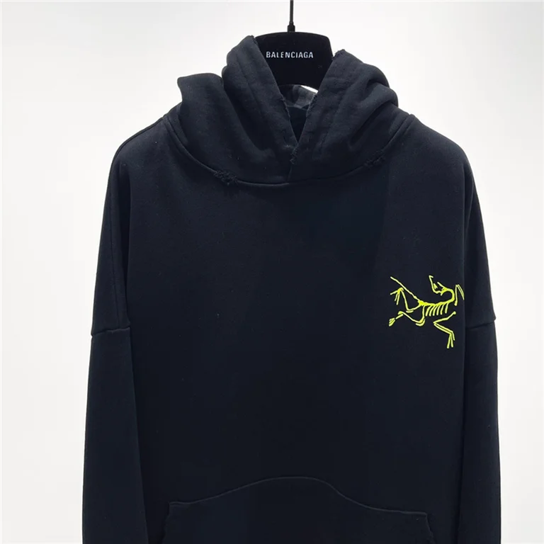 Arcteryx  Down Hoodie