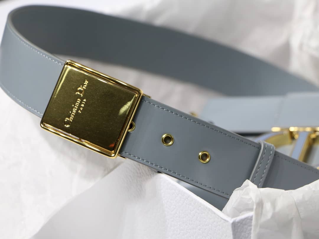 Christian Dior Montaigne Replica Bag