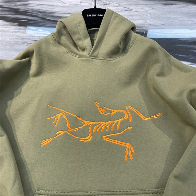 Arcteryx  Down Hoodie