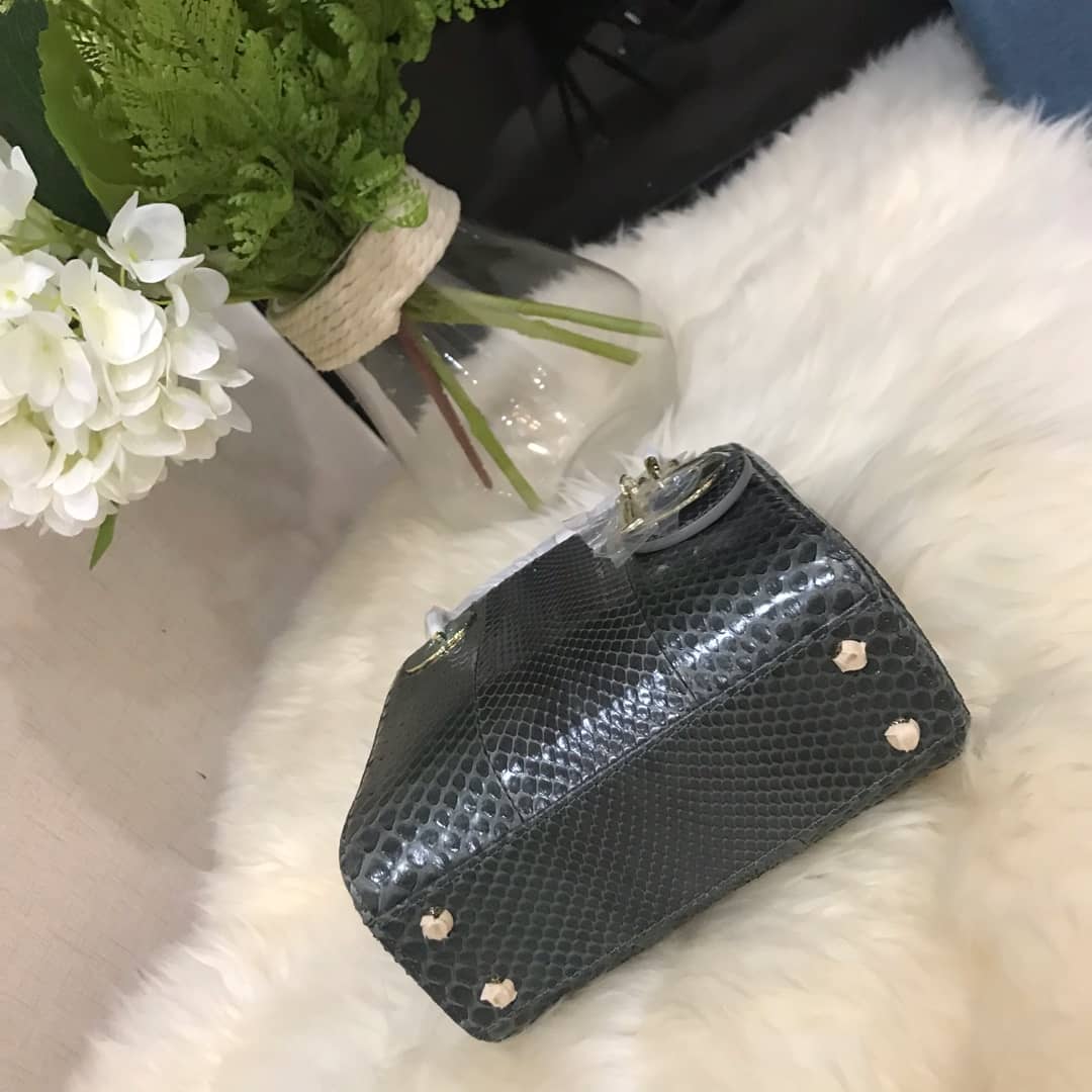 Christian Dior Lady Dior 17CM Replica Bag