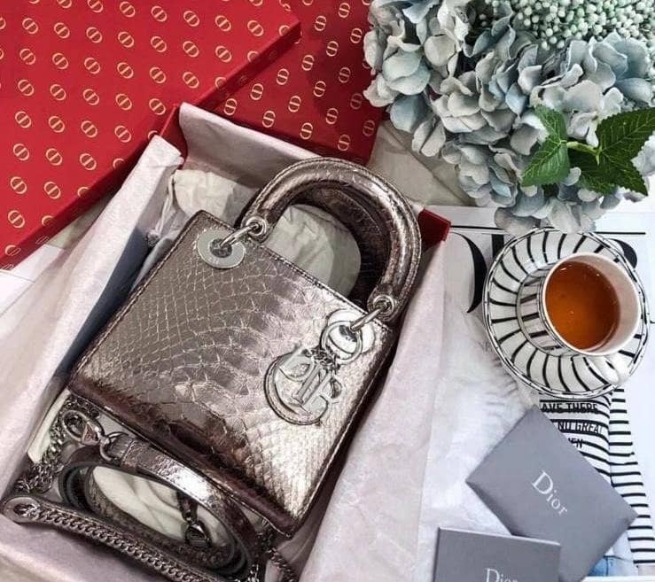 Christian Dior Lady Dior 17CM Replica Bag