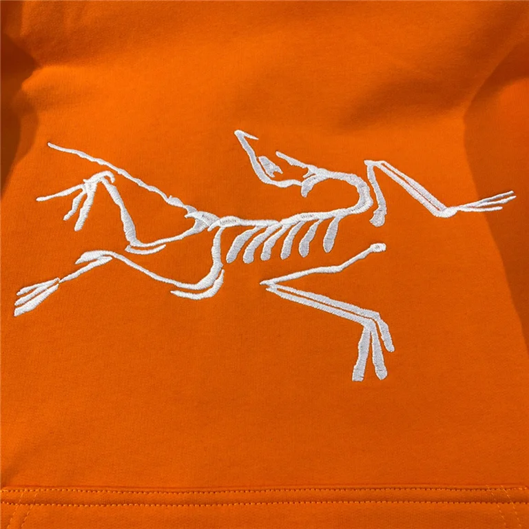 Arcteryx  Down Hoodie