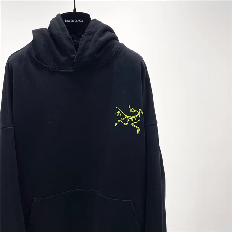 Arcteryx  Down Hoodie