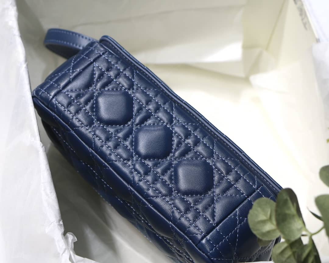 Christian Dior Caro Replica Bag