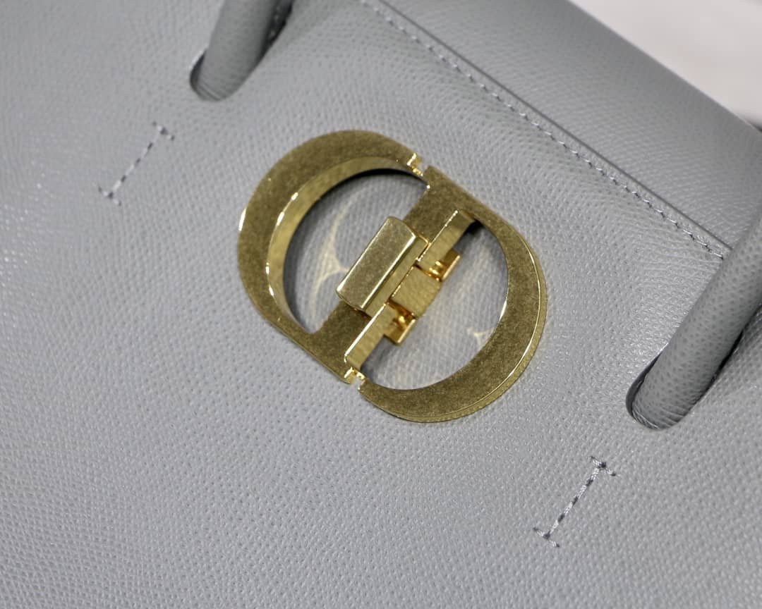 Christian Dior Box Calfskin Large St. Honore Tote