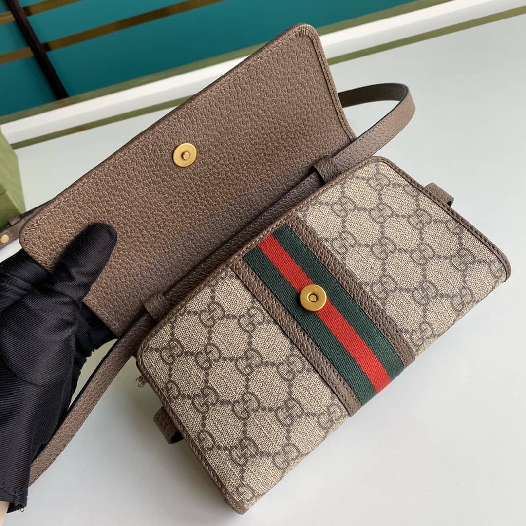 Gucci Ophidia GG Supreme Fabric Mini Bag 645082