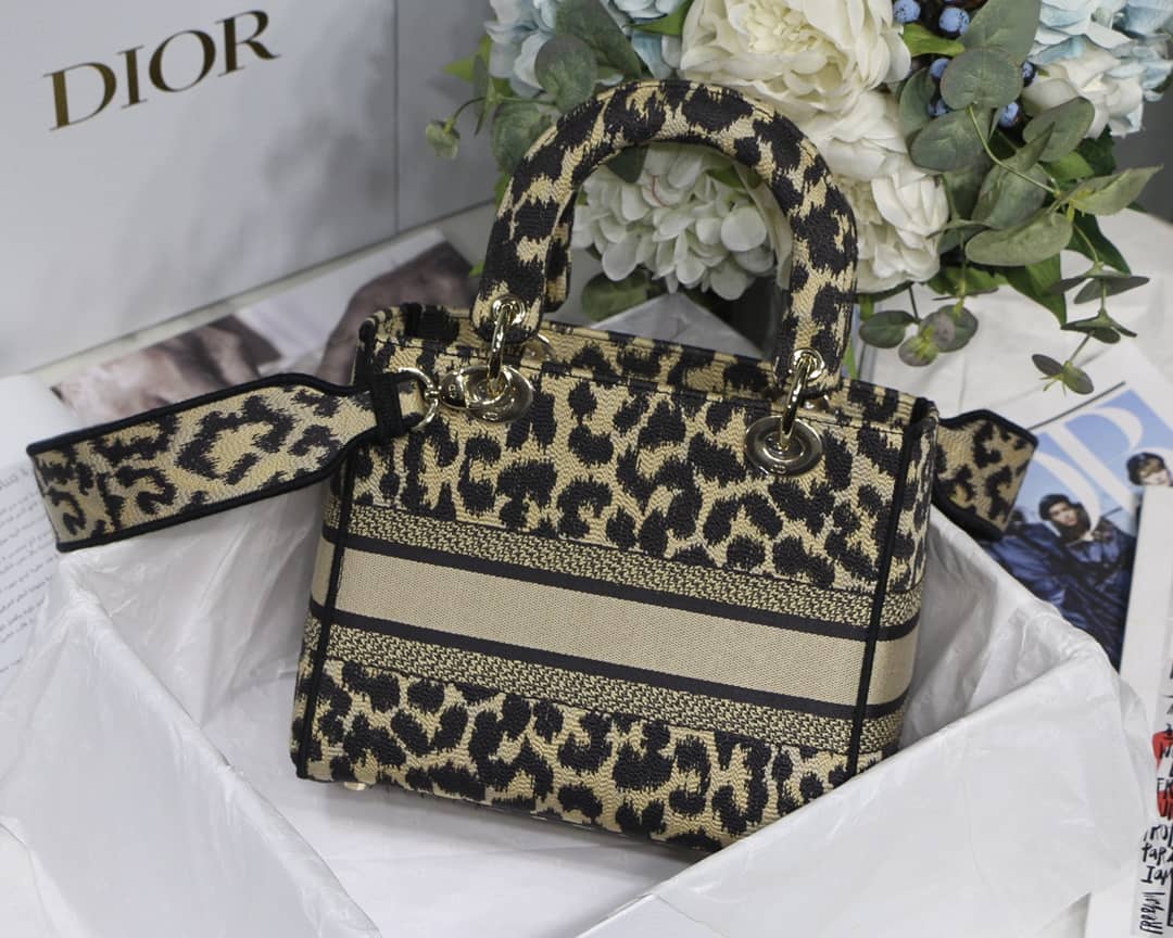 Dior Dupe Bag 24CM Paisley Embroidery Lady D-Lite