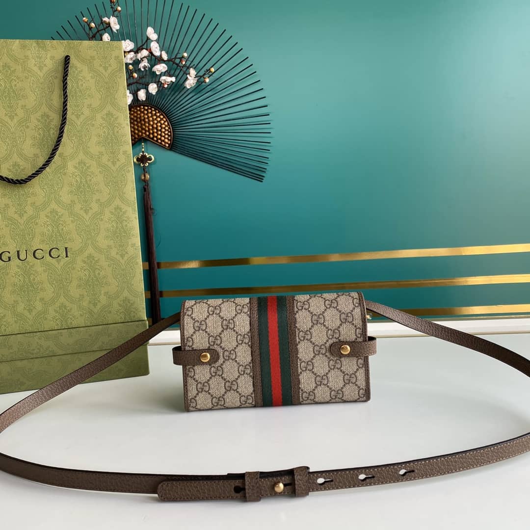 Gucci Ophidia GG Supreme Fabric Mini Bag 645082