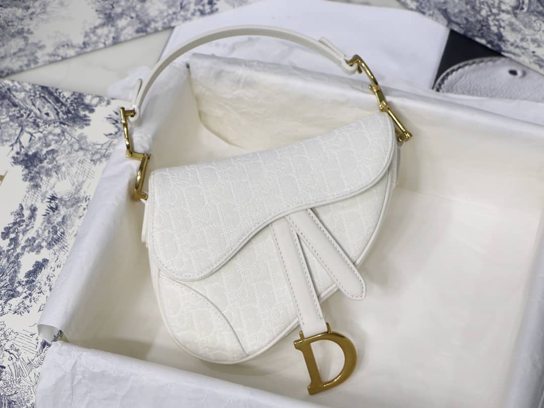 Dior Dupe Saddle Bag