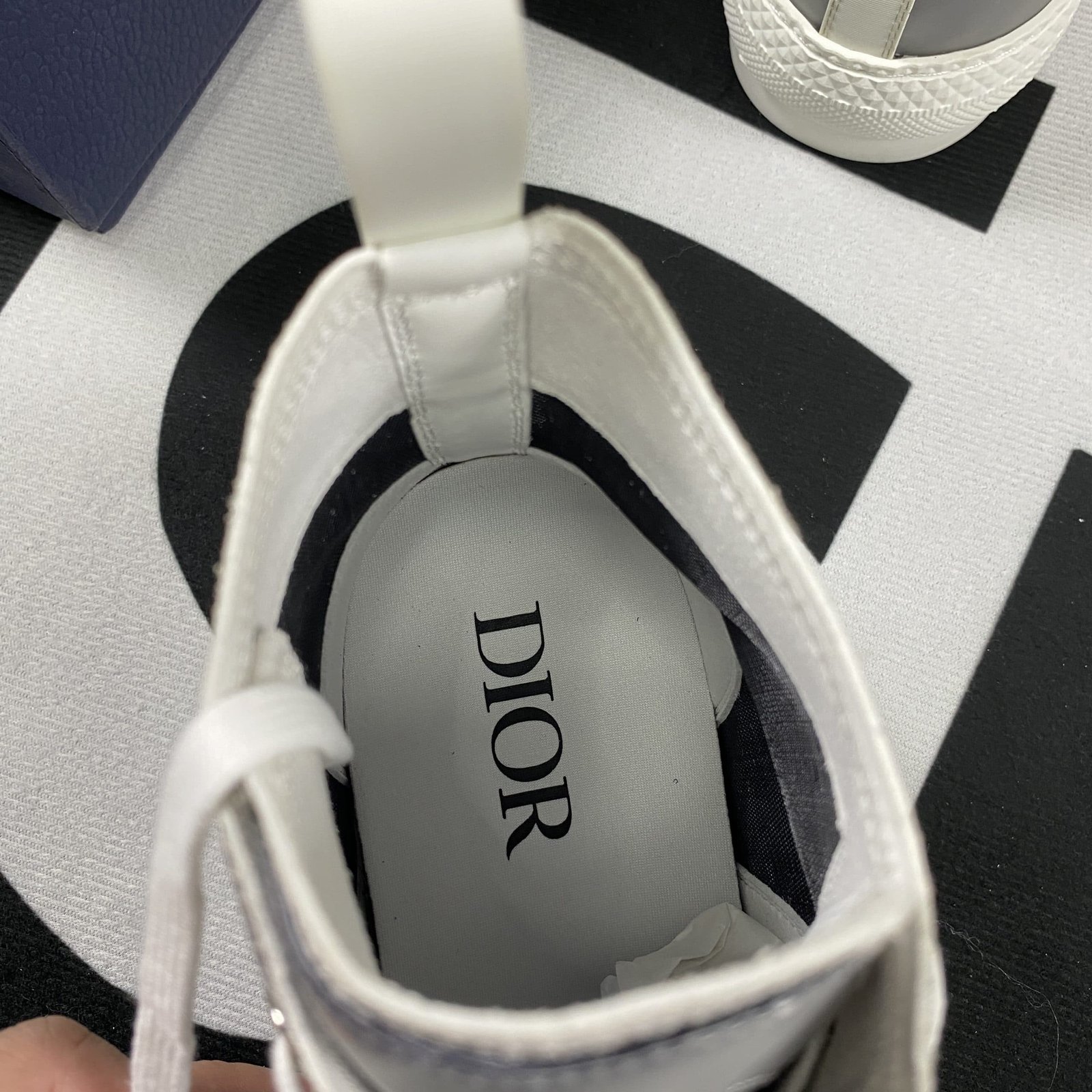 Dior B23 High Top Sneaker 16