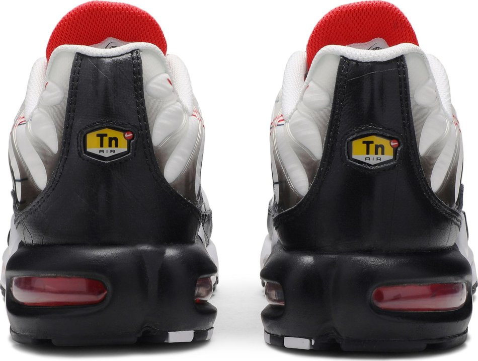 Air Max Plus  Script Swoosh  CK9392-100