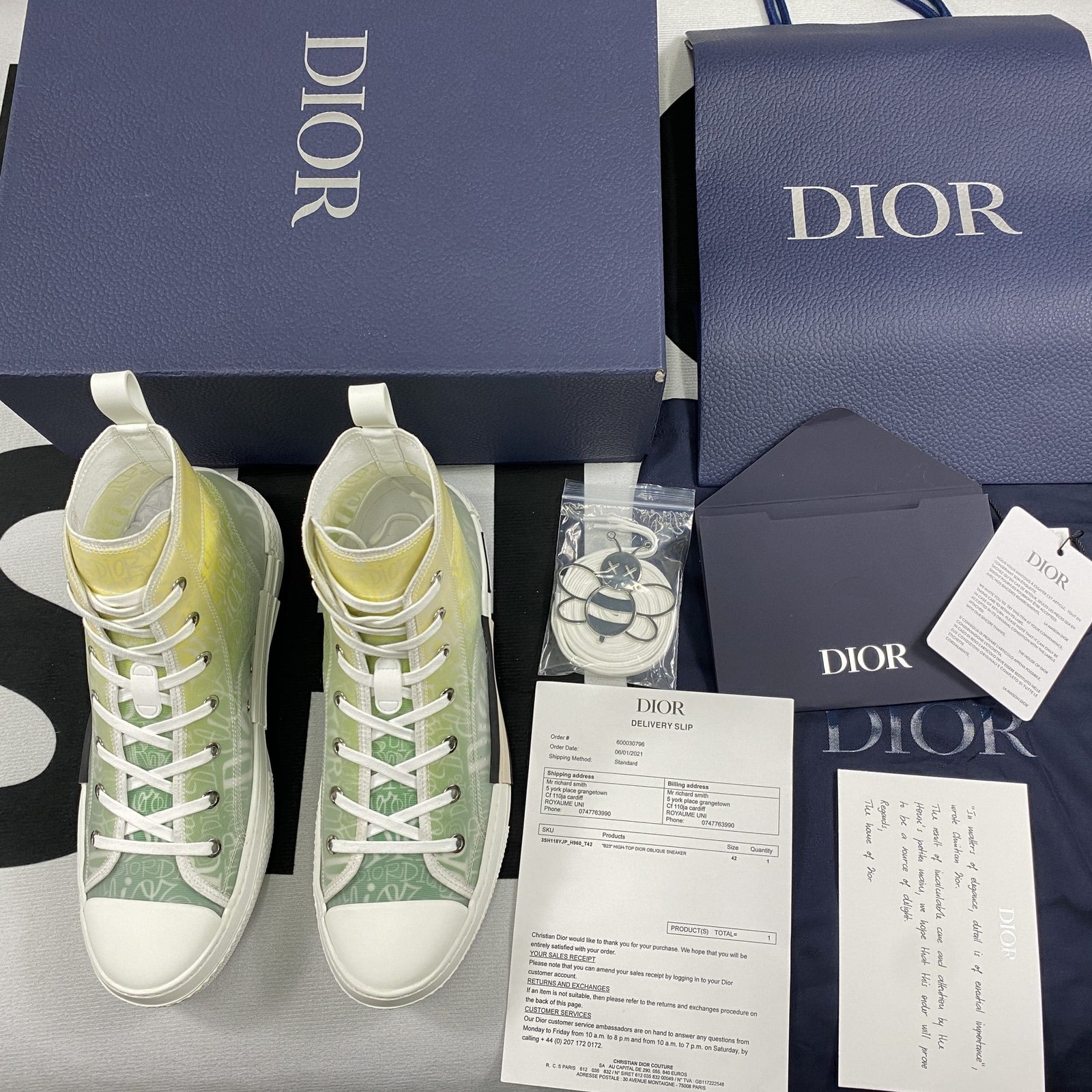 Dior B23 High Top Sneaker 15