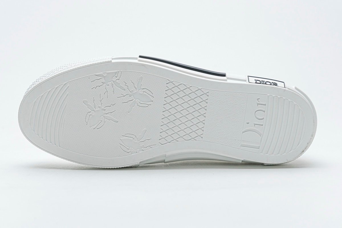 Converse Dupes Dior B23 LOW SNEAKER White Dior Oblique Canvas