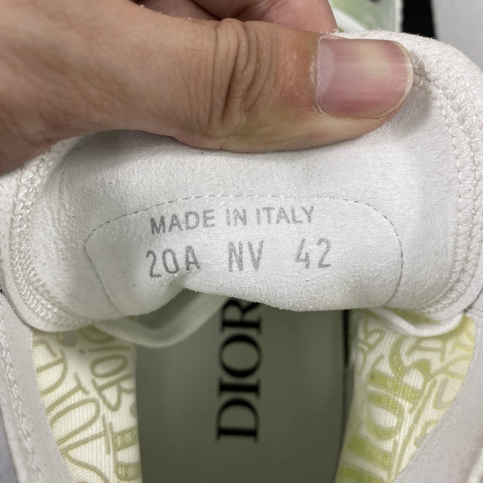 Dior B23 High Top Sneaker 15