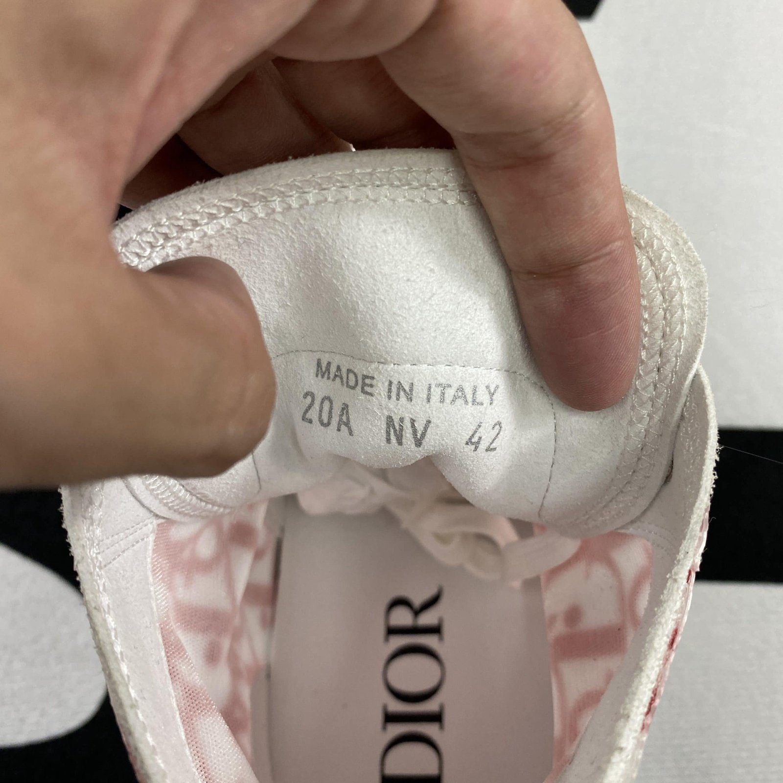 Dior B23 High Top Sneaker 13