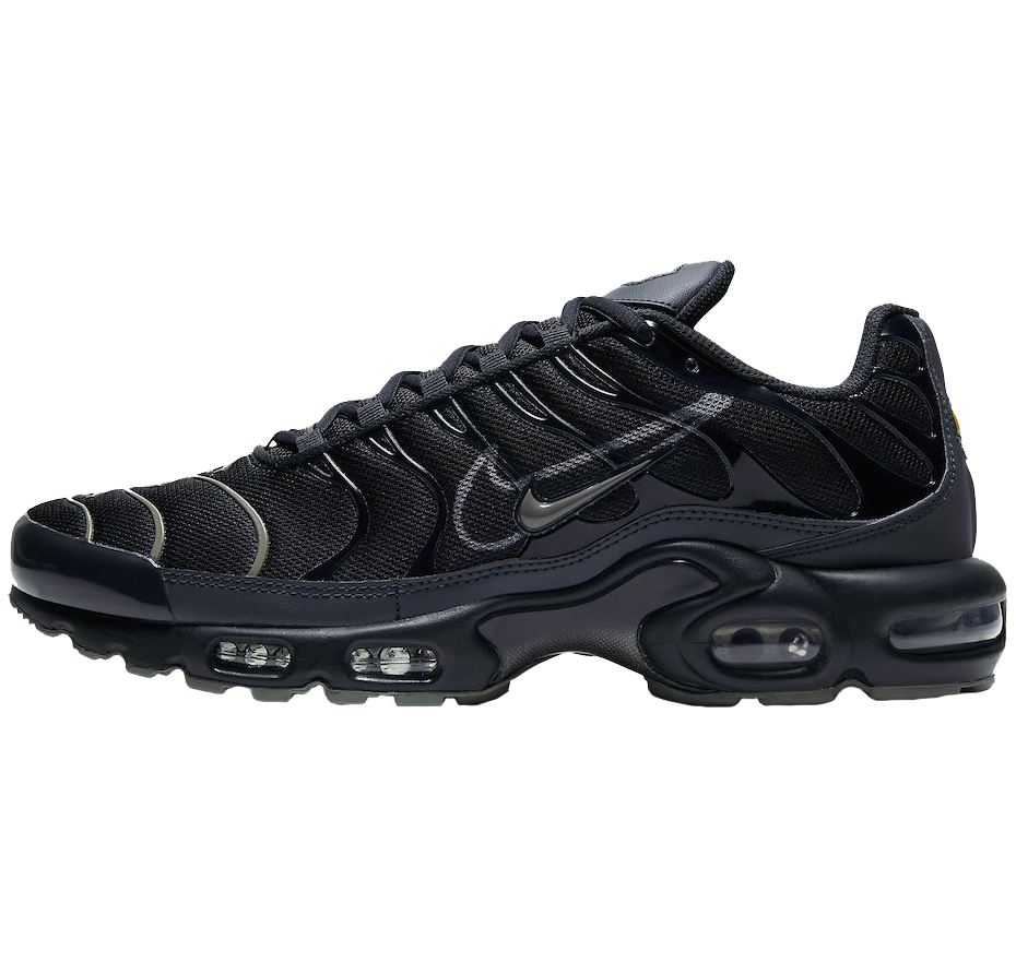 Air Max Plus DH4100-001
