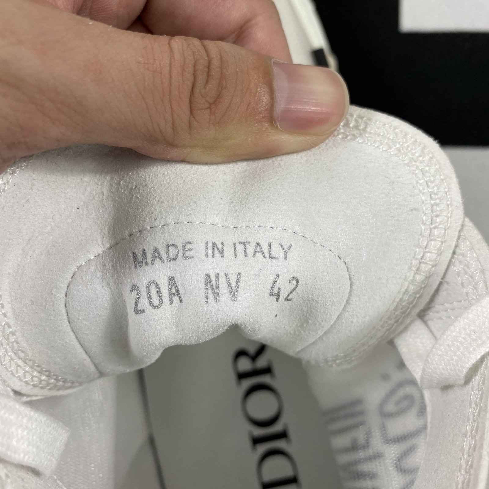 Dior B23 High Top Sneaker 17