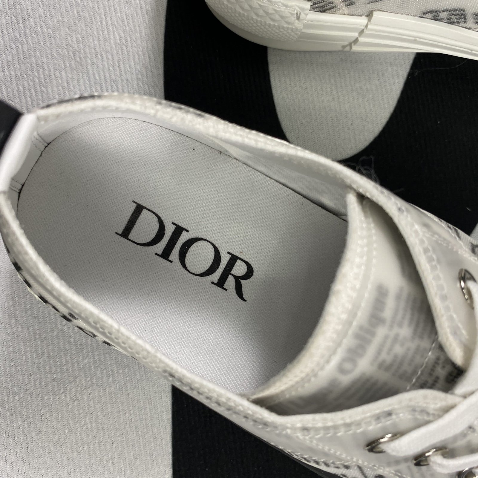 Dior B23 High Top Sneaker 10