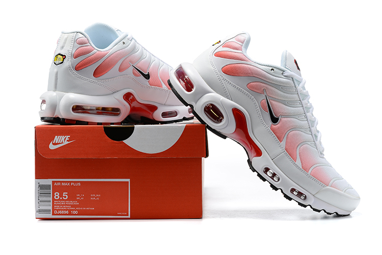 Air Max Plus DJ6896-100