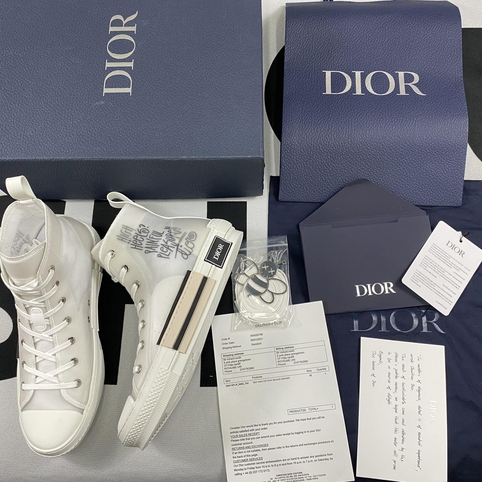 Dior B23 High Top Sneaker 17