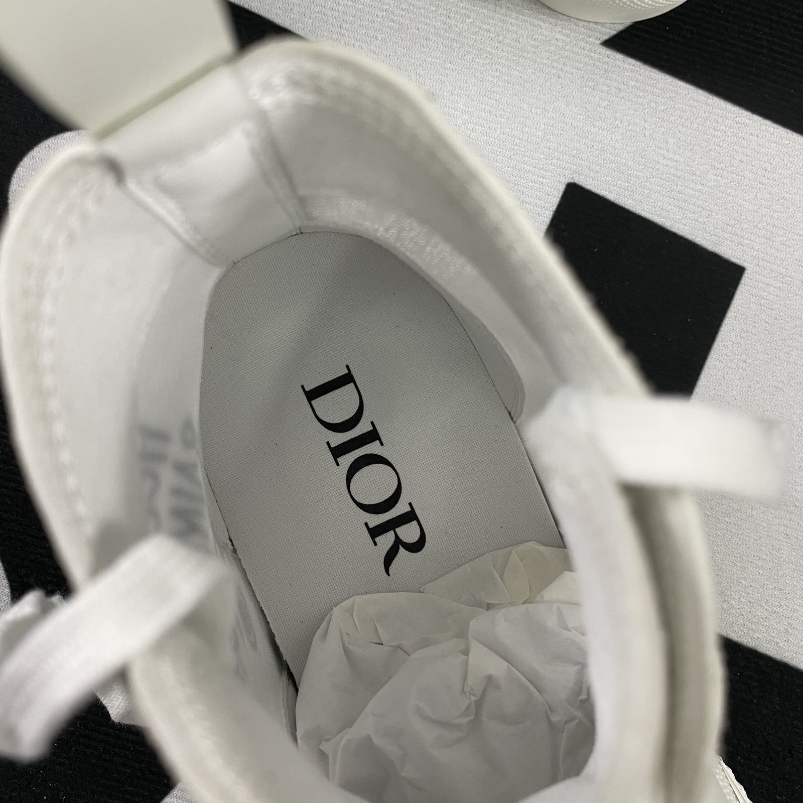 Dior B23 High Top Sneaker 17