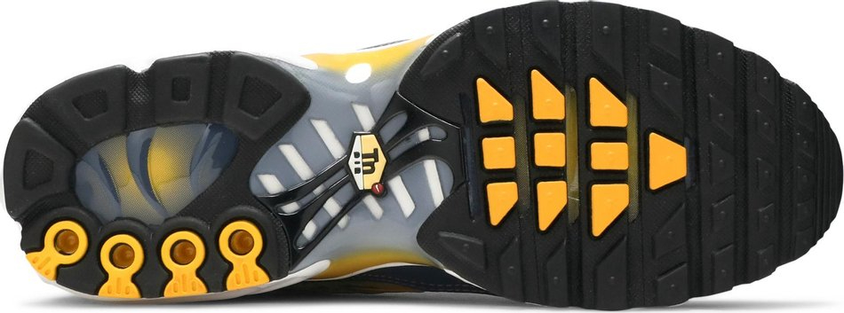 Air Max Plus  Wave Grid  BV1983-500