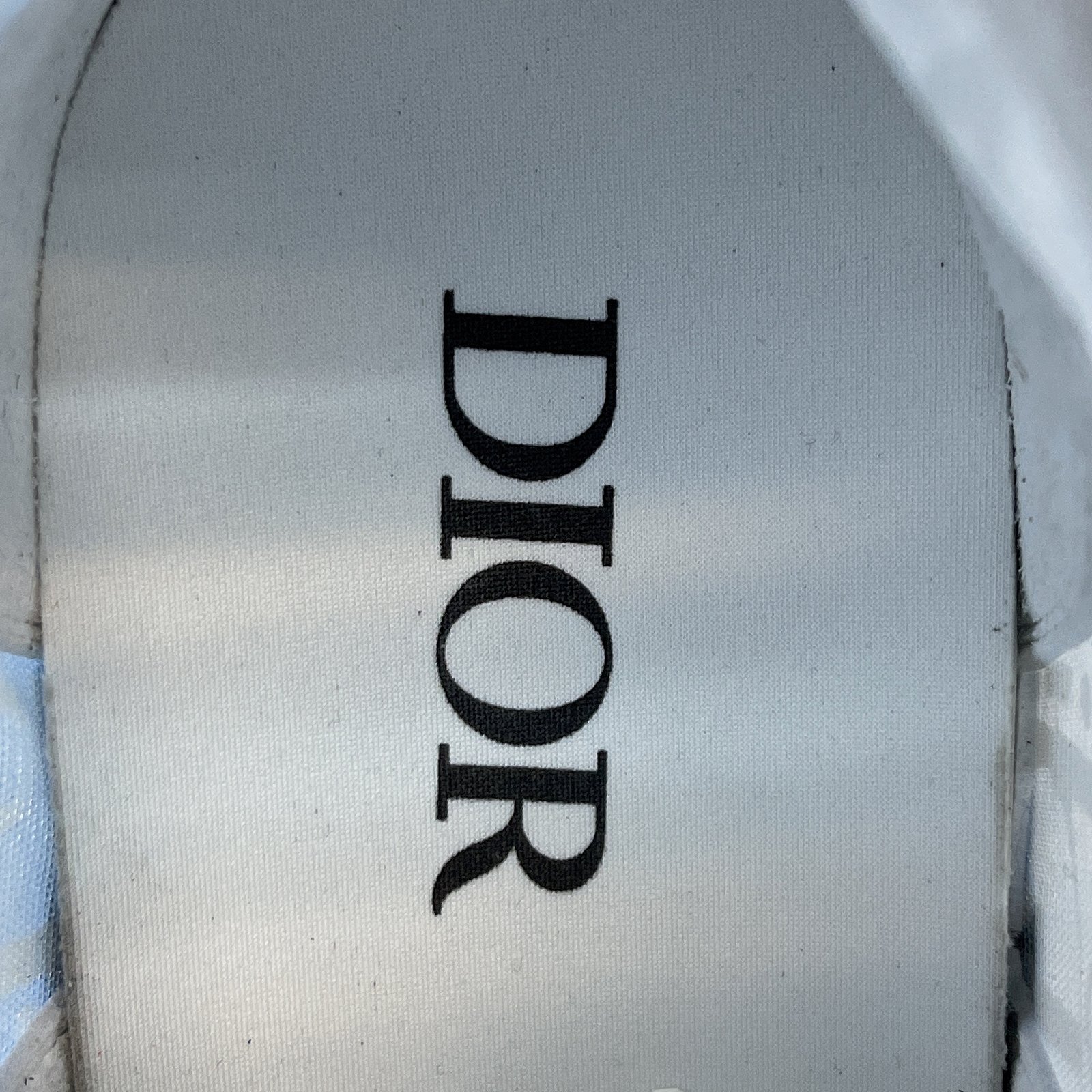 Converse Dupes Dior B23 High Top Sneaker 29