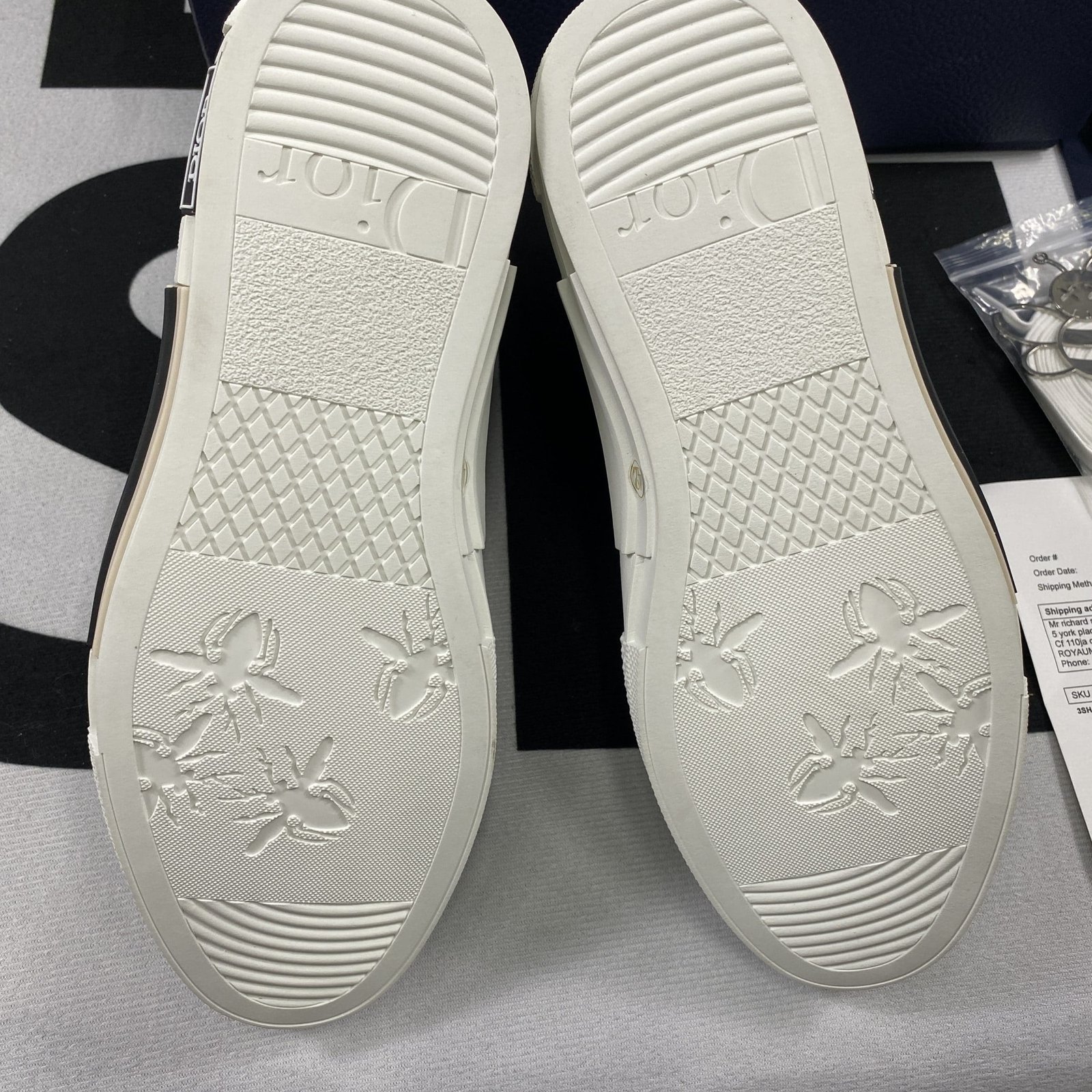 Dior B23 High Top Sneaker 16