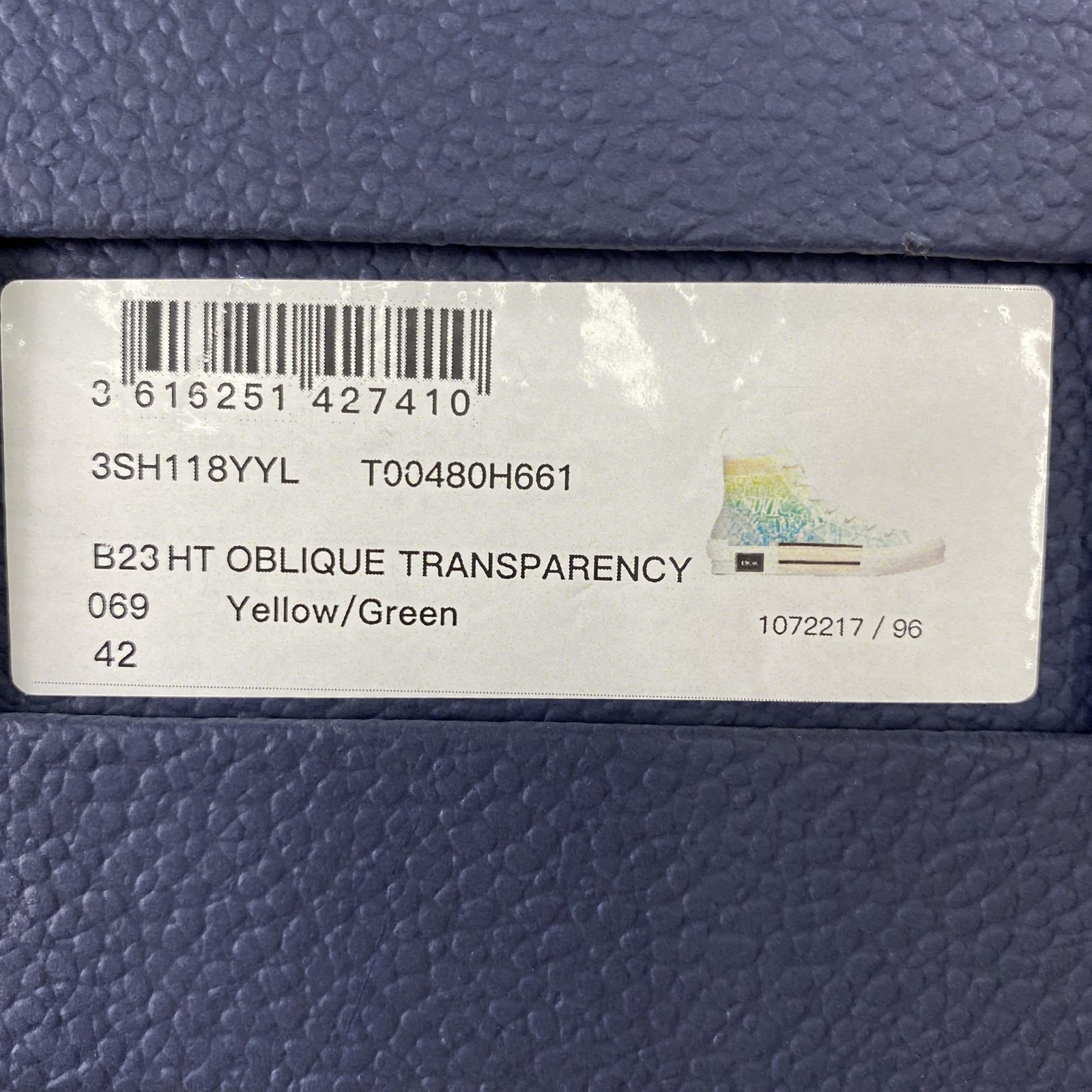 Dior B23 High Top Sneaker 15