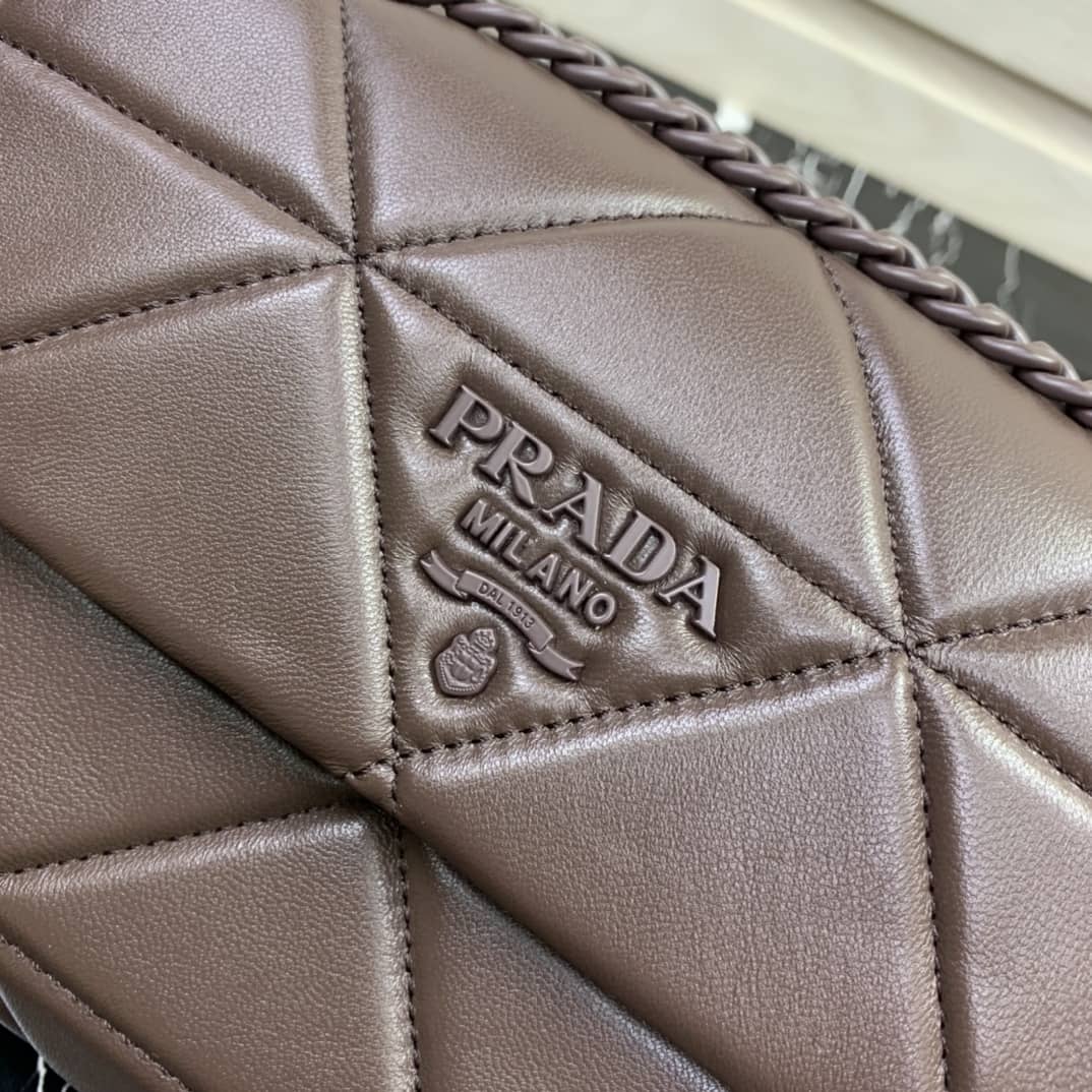 Prada Small Nappa Leather Spectrum Bag