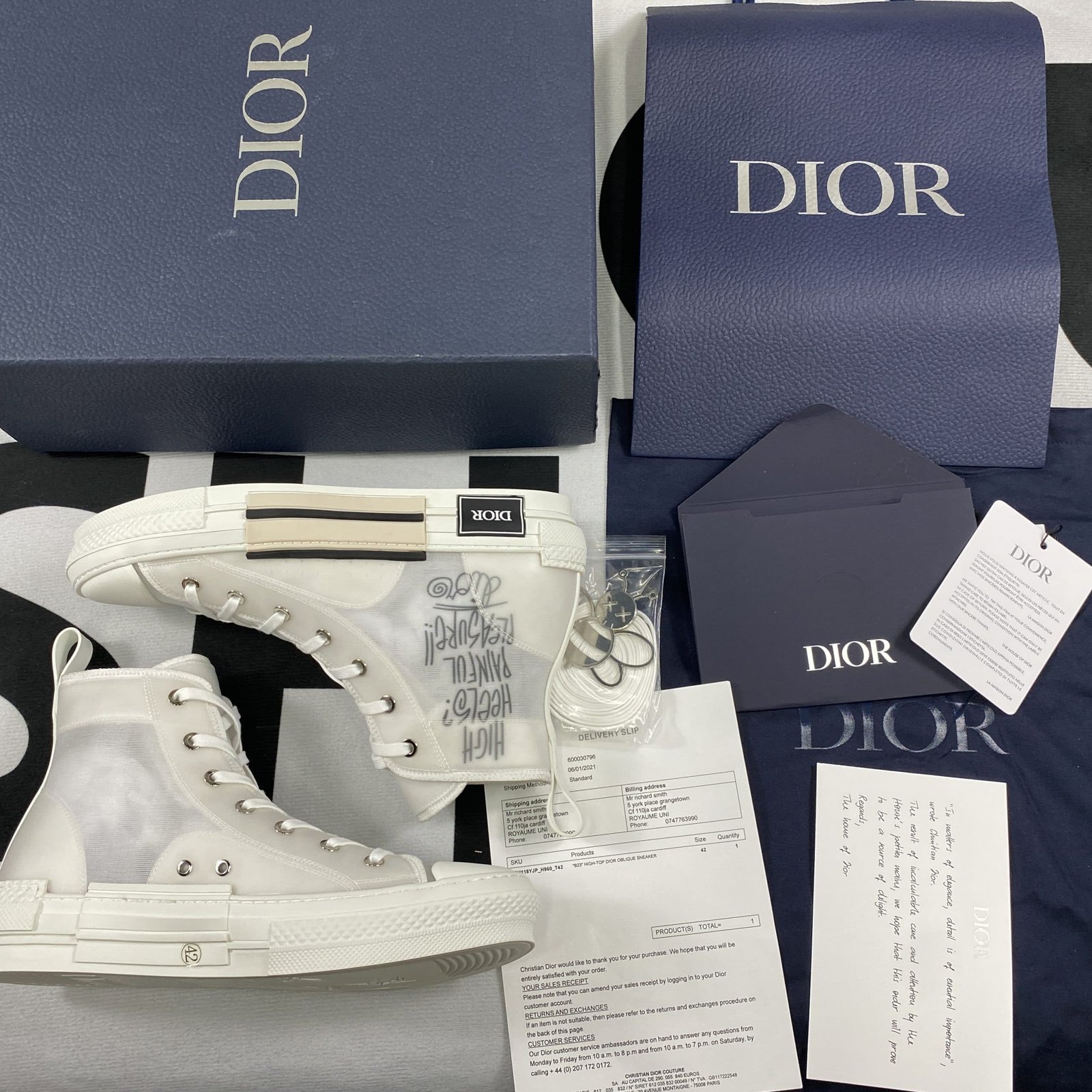 Dior B23 High Top Sneaker 17