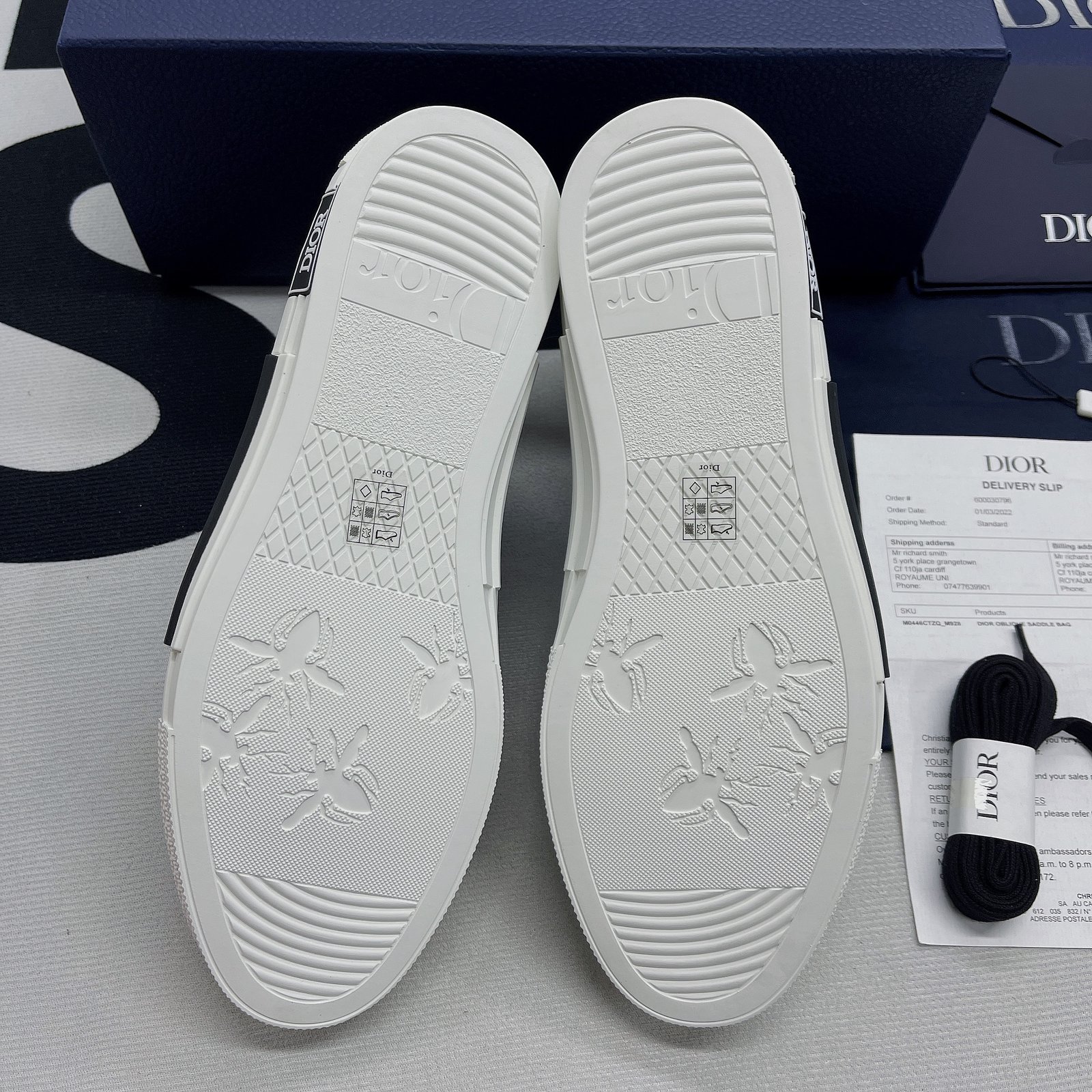 Dior B23 High Top Sneaker 18